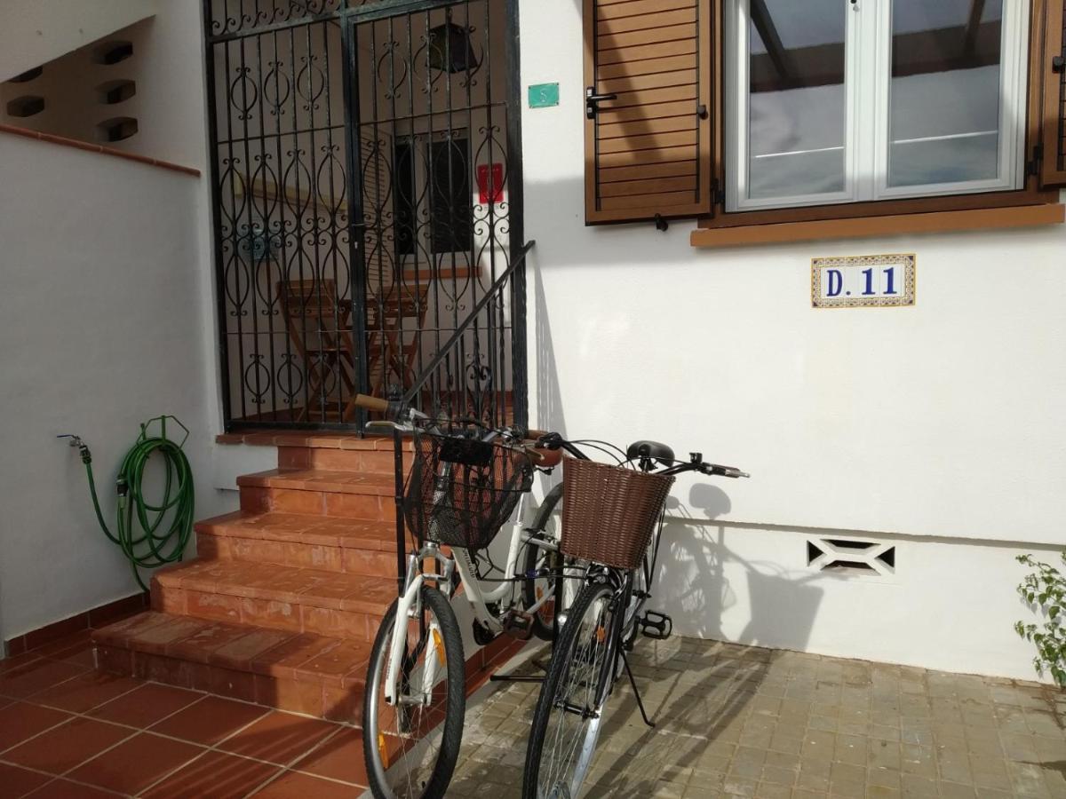 Mare Nostrum II Denia. Luaran gambar