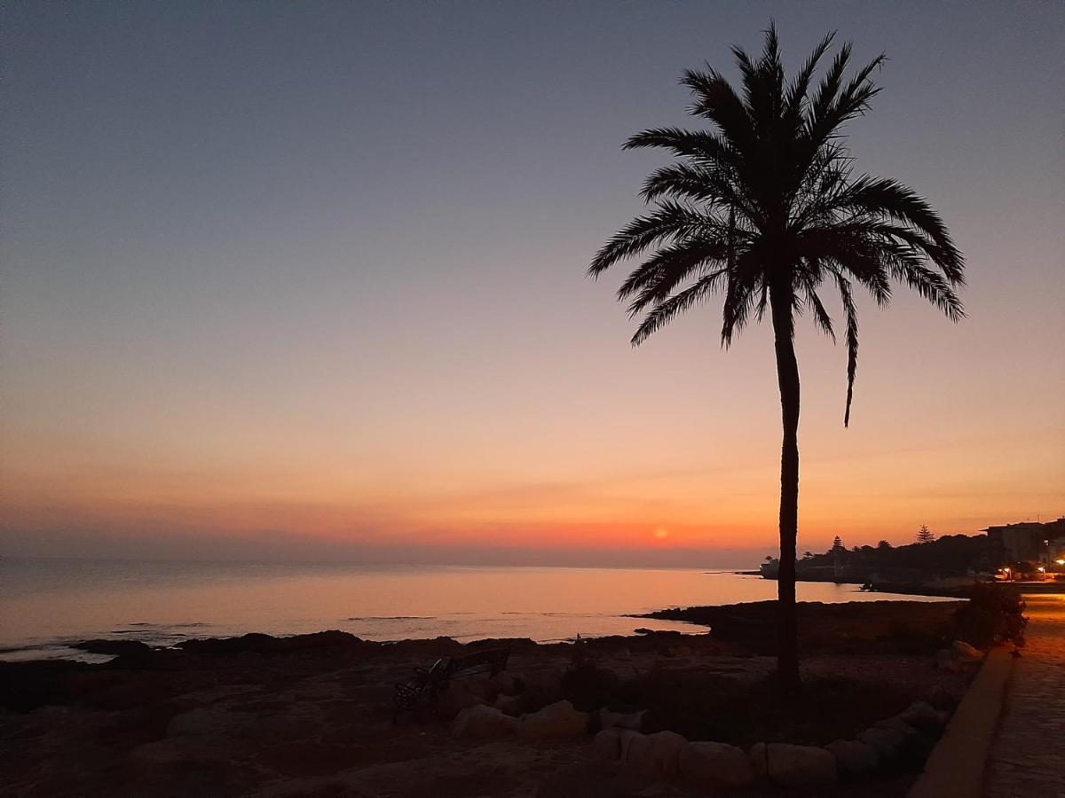 Mare Nostrum II Denia. Luaran gambar