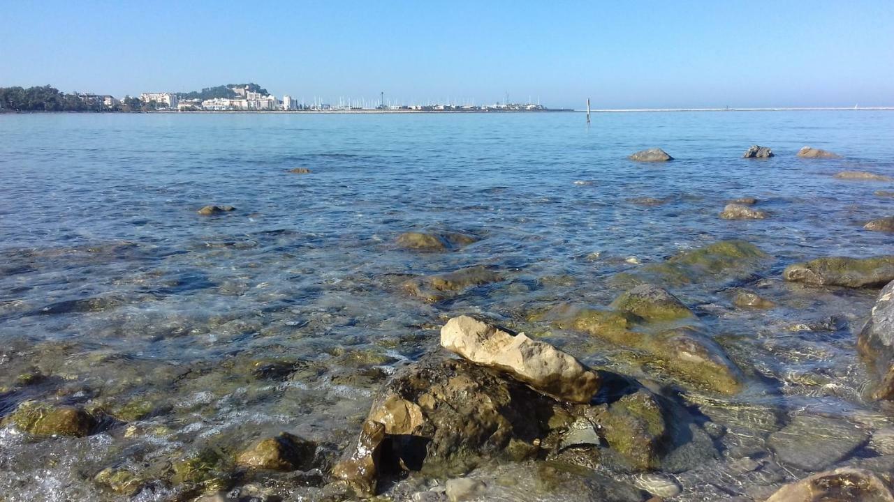 Mare Nostrum II Denia. Luaran gambar