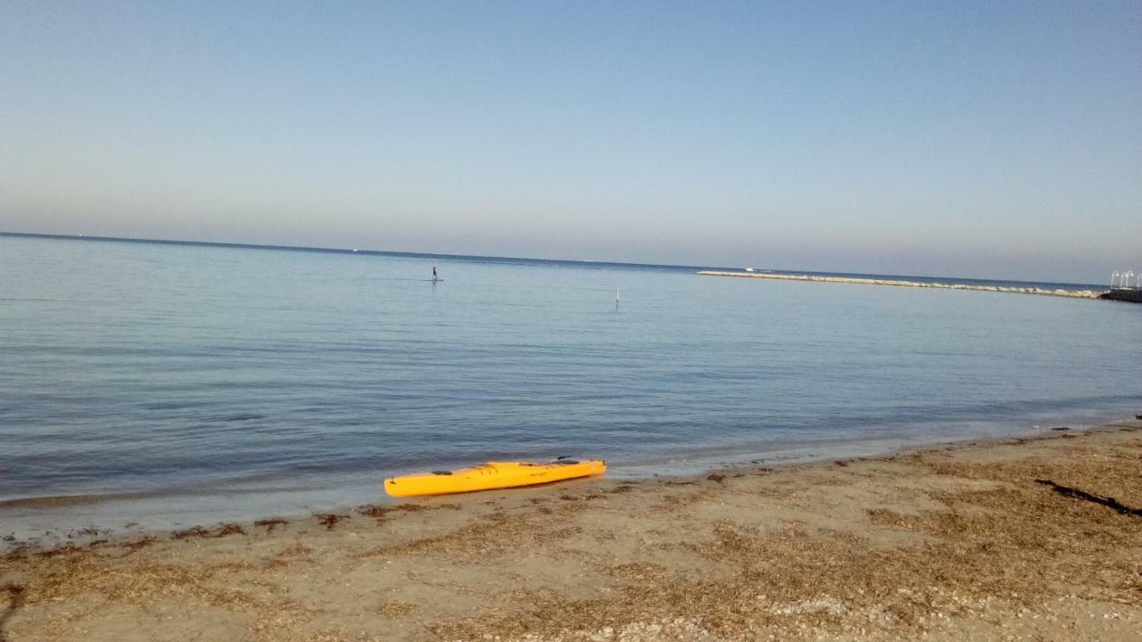 Mare Nostrum II Denia. Luaran gambar